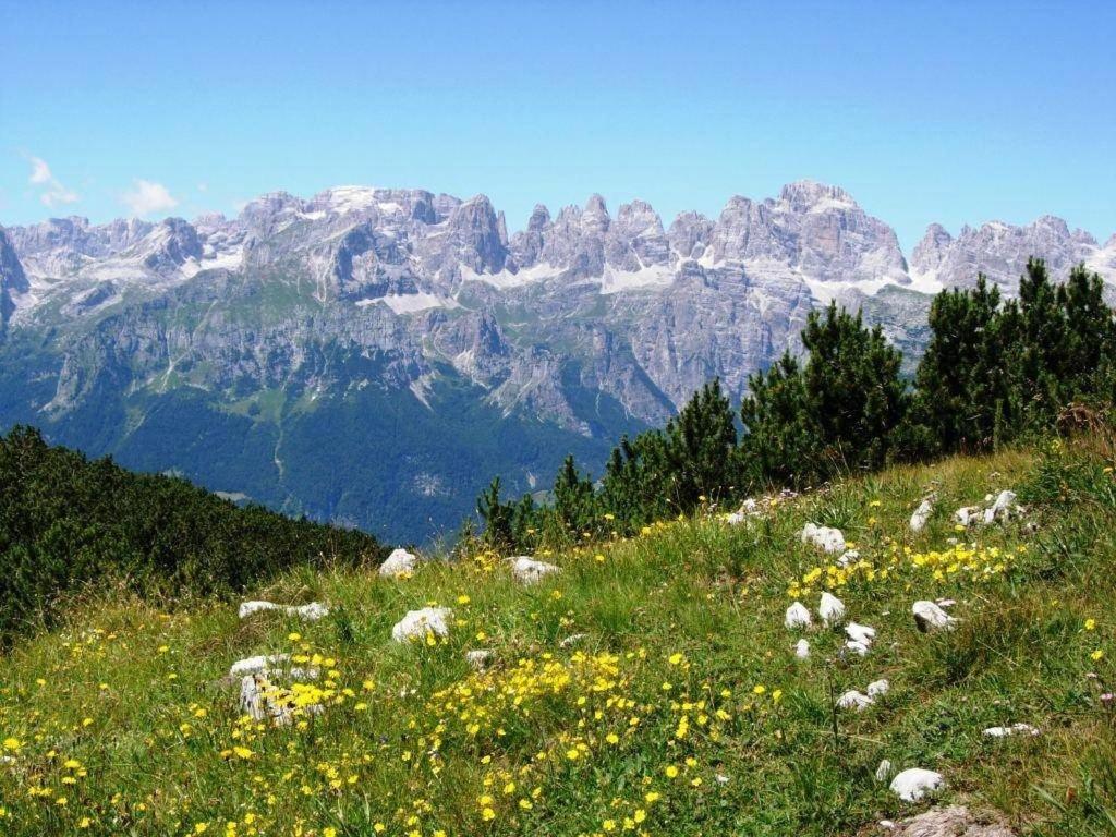 Appartamento Casa Dalsass Cavedago Esterno foto