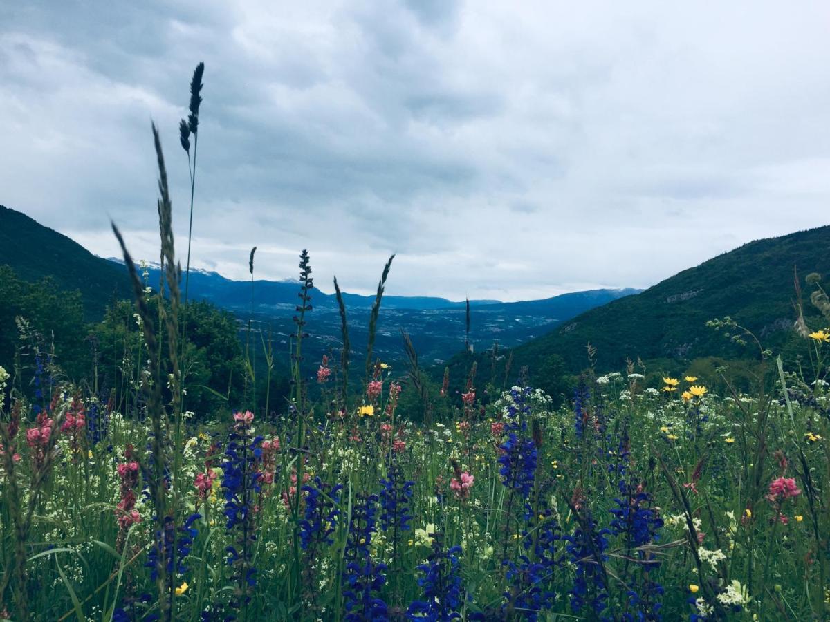 Appartamento Casa Dalsass Cavedago Esterno foto