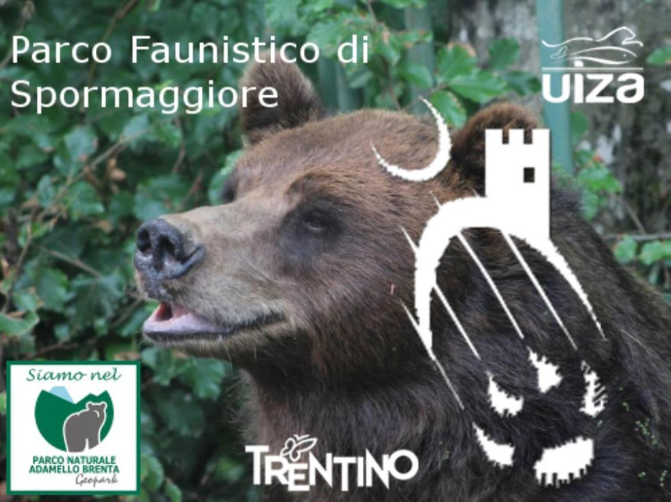 Appartamento Casa Dalsass Cavedago Esterno foto